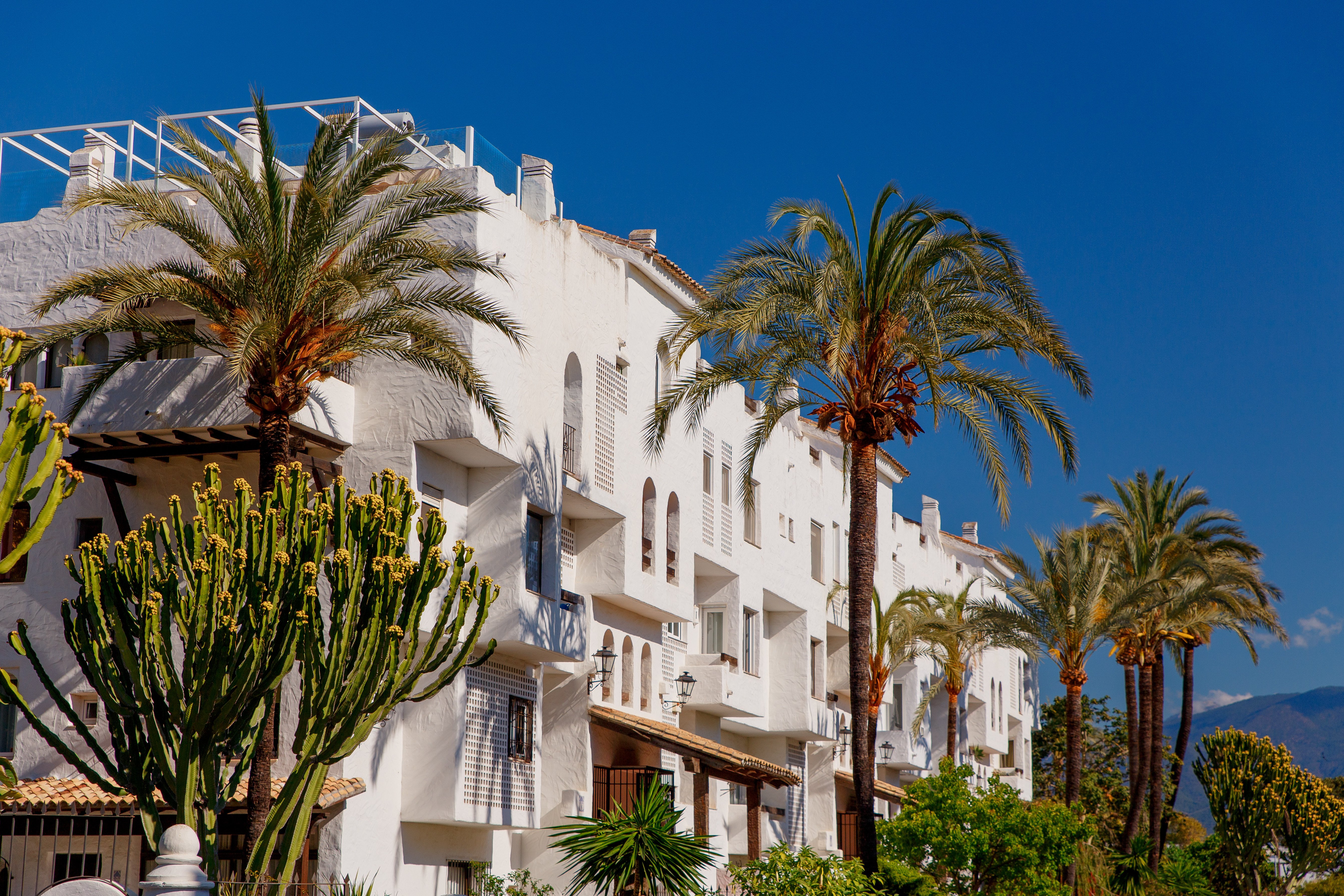 Whitewashed apartment buildings with palm trees, Marbella.